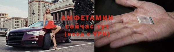 хмурый Алексин